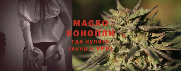 СК Волоколамск