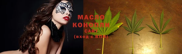 СК Волоколамск