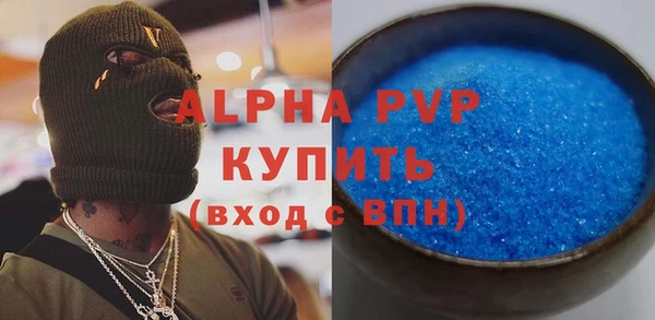 ПСИЛОЦИБИНОВЫЕ ГРИБЫ Сясьстрой