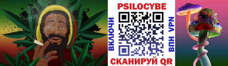 Псилоцибиновые грибы прущие грибы  Северобайкальск 